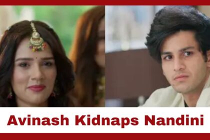 Vasudha Latest Twist: Avinash Crosses All Limits as Haldi Turns Chaotic; Nandini’s Disappearance Shocks Dev’s Family | Image Source - iwmbuzz