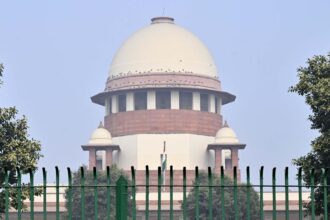 delhi-hc-issues-notice-to-centre-on-pil-challenging-ban-on-adopting-frozen-embryos