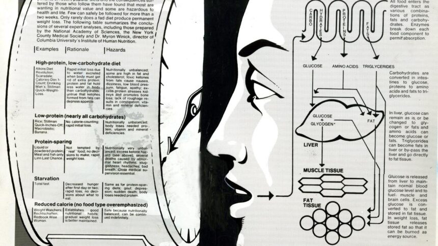 obesity-impacts-on-brain-may-depend-on-how-fat-is-distributed-across-body,-study-finds