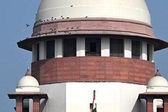 stem-cell-therapy-cannot-be-offered-as-a-clinical-service-for-autism:-supreme-court