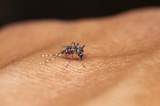 can-india-eliminate-malaria-by-2030?-|-explained