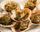 mark-hicks’-recipe-for-herb-crusted-baked-scallops