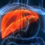 understanding-masld:-a silent liver disease-on-the rise-in-india