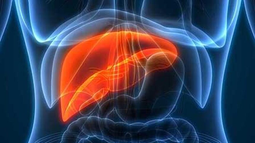understanding-masld:-a silent liver disease-on-the rise-in-india