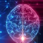 scientists-find-hidden-synapse-hotspots-in-the-teen-brain:-study