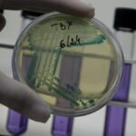 health-matters-newsletter-surveilling-infections