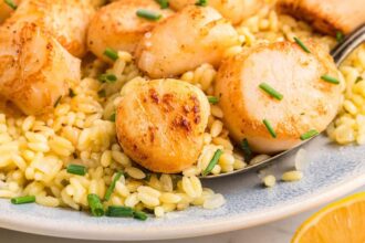 seared-golden-scallops-with-lemon-orzo-(so-easy!)