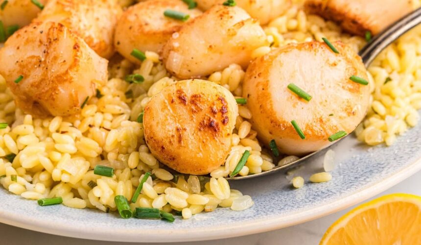 seared-golden-scallops-with-lemon-orzo-so-easy | GIBN seared-golden-scallops-with-lemon-orzo-(so-easy!)