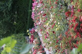 spring-may-be-short-as-imd-predicts-february-warmth