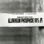 pgimer-doctors-achieve-major-breakthrough-in-deadly-celphos-poisoning