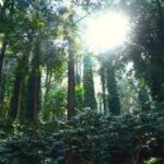 union-budget-2026-27-focuses-on-tourism,-trails,-heritage,-rail,-guides