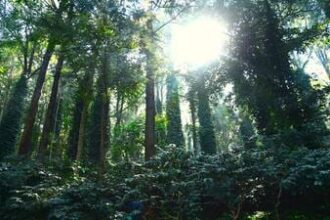 union-budget-2026-27-focuses-on-tourism,-trails,-heritage,-rail,-guides