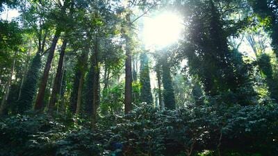 union-budget-2026-27-focuses-on-tourism,-trails,-heritage,-rail,-guides