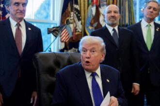 trump-administration-to-create-strategic-reserve-for-rare-earth-elements