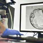 moving-from-iui-to-ivf:-what-couples-should-know-about-the-right-time