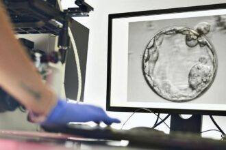 moving-from-iui-to-ivf:-what-couples-should-know-about-the-right-time