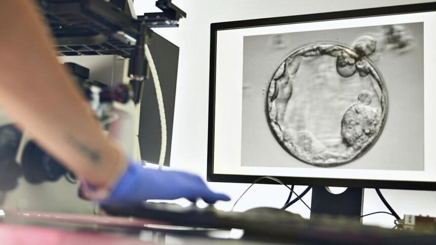 moving-from-iui-to-ivf:-what-couples-should-know-about-the-right-time