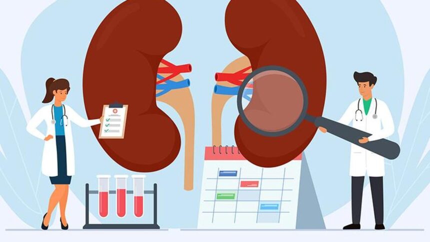 all-you-need-to-know-about-hyperoxaluria | GIBN all-you-need-to-know-about:-hyperoxaluria