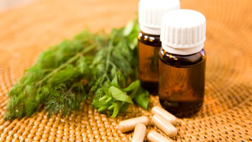 how-will-budget-boosts,-eu-access-remake-ayush-beyond-india?-|-explained