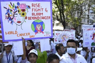 over-one-third-of-cancers-worldwide-may-be-preventable,-analysis-shows