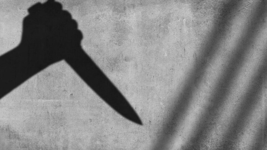 four-indian-students-injured-in-stabbing-in-russia