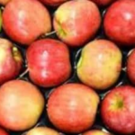 ecostani:-indian-apple-growers-brace-for-impact-of-trade-deal