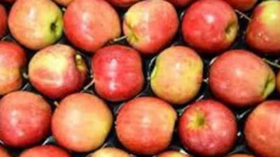 ecostani:-indian-apple-growers-brace-for-impact-of-trade-deal