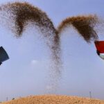 kerala-bjp-chief-asks-center-to-exempt-state-from-order-to-stop-paddy-bonus