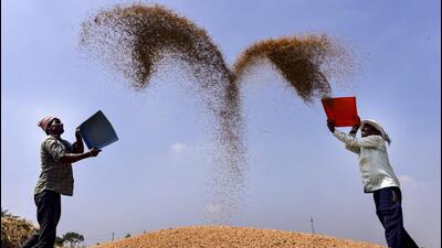 kerala-bjp-chief-asks-center-to-exempt-state-from-order-to-stop-paddy-bonus