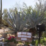 nancy-guthrie-missing:-savannah-guthrie-says,-‘we-believe-our-mother-is-still-out-there’