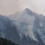 among-all-states,-gujarat-has-diverted-most-of-its-forest-land-to-non-forest-uses