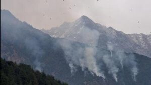 among-all-states,-gujarat-has-diverted-most-of-its-forest-land-to-non-forest-uses