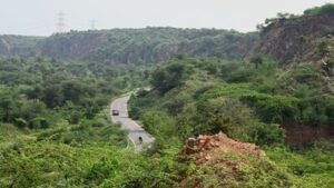 ‘not-even-an-inch’:-supreme-court-stays-haryana’s-aravalli-zoo-safari-project