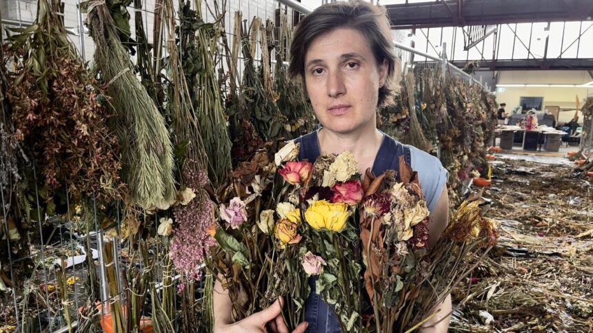 bondi-beach-attack-|-from-bleeding-to-blooming:-inside-the-making-of-a-living-monument