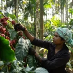 climate-change-is-negatively-affecting-the-world