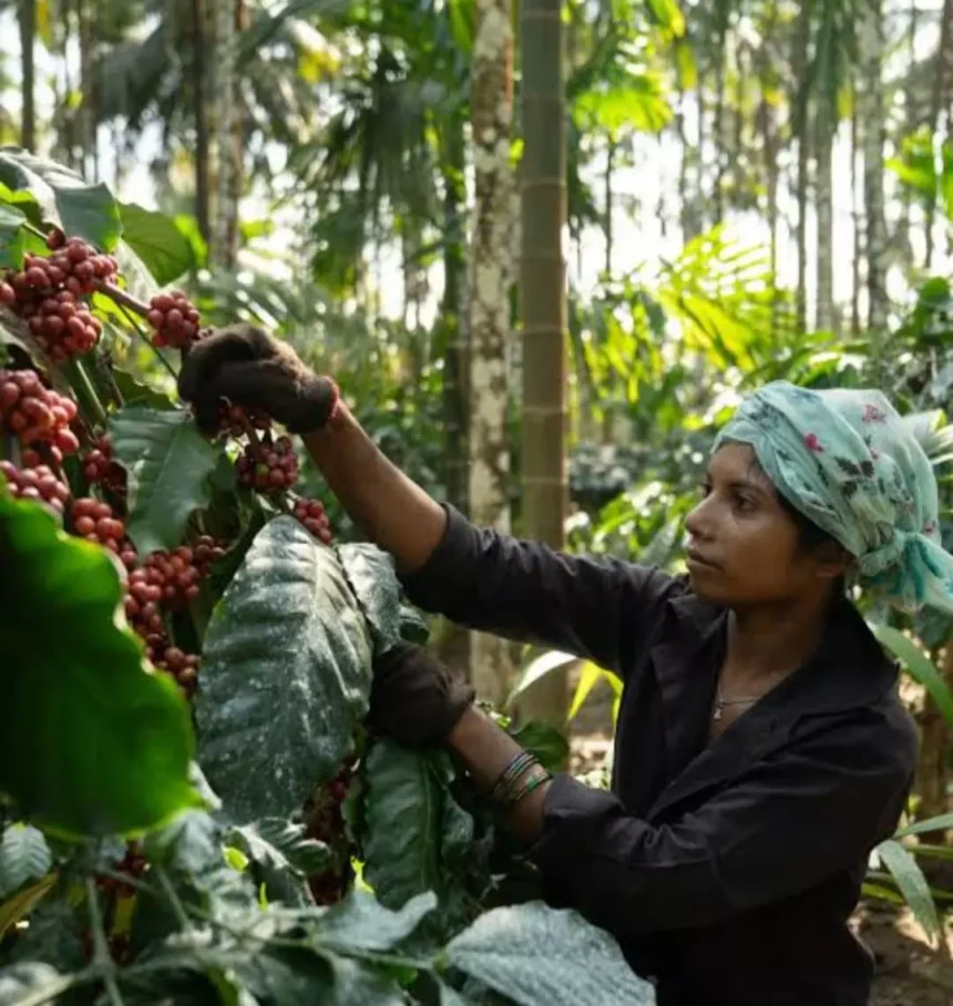 climate-change-is-negatively-affecting-the-world