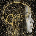 india,-other-countries-should-build-america’s-ai-stack:-us-ai-advisor