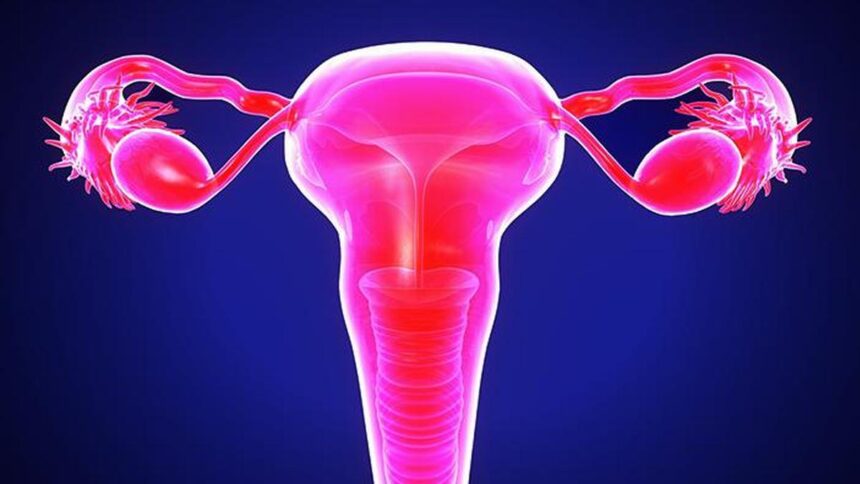 what-women-should-know-about-pelvic-inflammatory-disease
