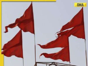 up:-rss-backed-abvp-protest-against-goat-market-not-illegal,-says-police