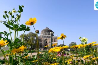 delhi-sees-warmest,-most-polluted-february-in-3-years:-why-is-it-so-unusually-hot?
