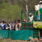 nine-cheetahs-released-from-botswana-to-kono-national-park-in-madhya-pradesh