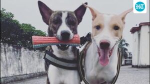 just-like-that:-colonial-india’s-legacies-in-the-selection-of-dog-breeds