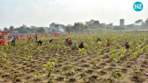 the-varanasi-municipal-corporation-plants-2.5-lakh-saplings-in-one-hour,-according-to-the-record