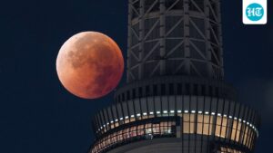 the-blood-moon-lights-up-the-evening-sky,-and-when-and-where-to-watch-a-total-lunar-eclipse-in-india