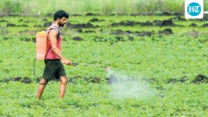 the-conflict-shakes-india’s-fertilizer-supply,-doubling-the-cost-of-shipping