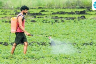 the-conflict-shakes-india’s-fertilizer-supply,-doubling-the-cost-of-shipping