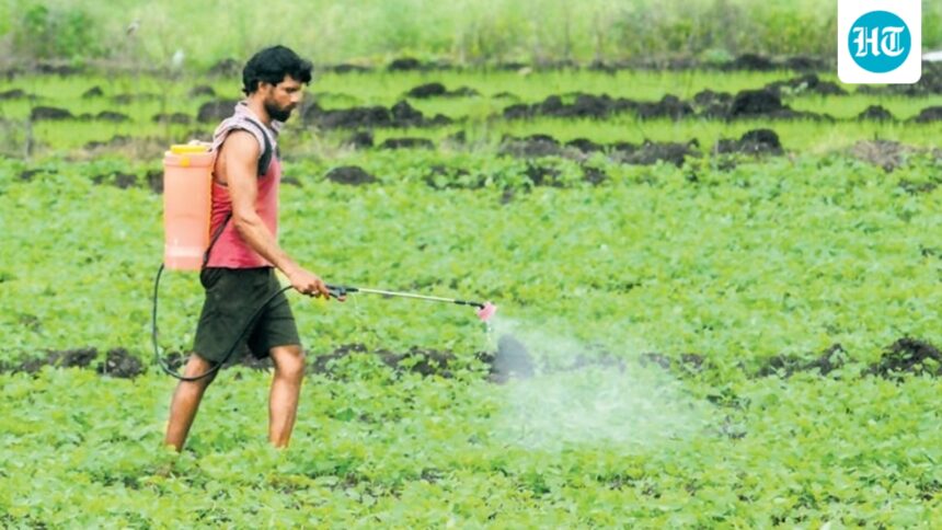 the-conflict-shakes-indias-fertilizer-supply-doubling-the-cost-of-shipping | GIBN the-conflict-shakes-india’s-fertilizer-supply,-doubling-the-cost-of-shipping