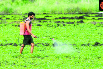 conflict-in-west-asia:-war-like-conditions-disrupt-india’s-fertilizer-supply,-shipping-costs-double