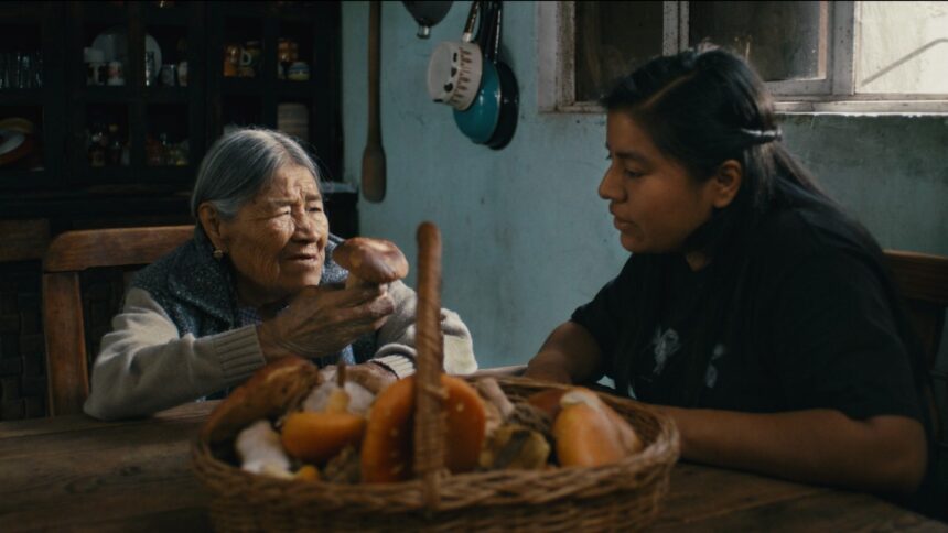 is-this-a-talking-mushroom?-trippy-sci-fi-doc-‘daughters-of-the-woods’-movie-about-native-fungi-experts-will-make-you-wonder-(exclusive-trailer)