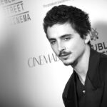 the-most-pressing-question-of-oscar-season:-why-not-timothy?